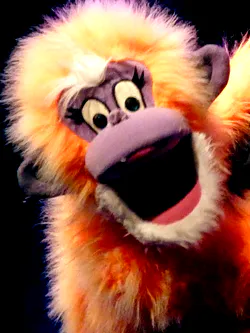 Fredy le singe