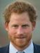 Harry de Sussex