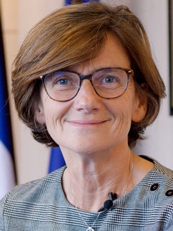 Agnès Firmin-Le Bodo