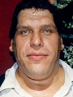 André The Giant
