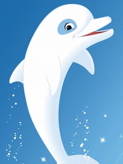  Oum le dauphin blanc