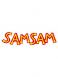  SamSam